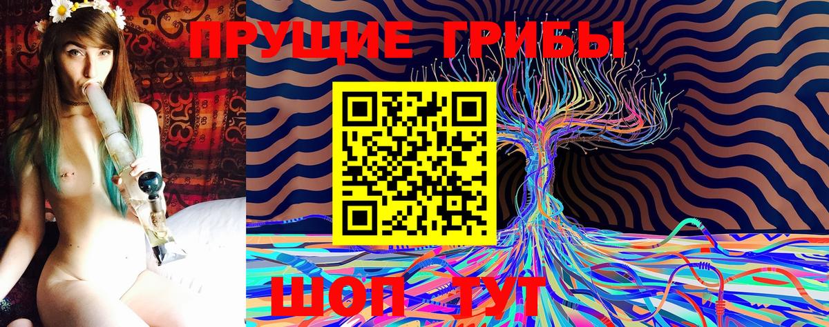 Псилоцибиновые грибы ЛСД  Вход с VPN  Псилоцибиновые грибы прущие грибы  Можга 